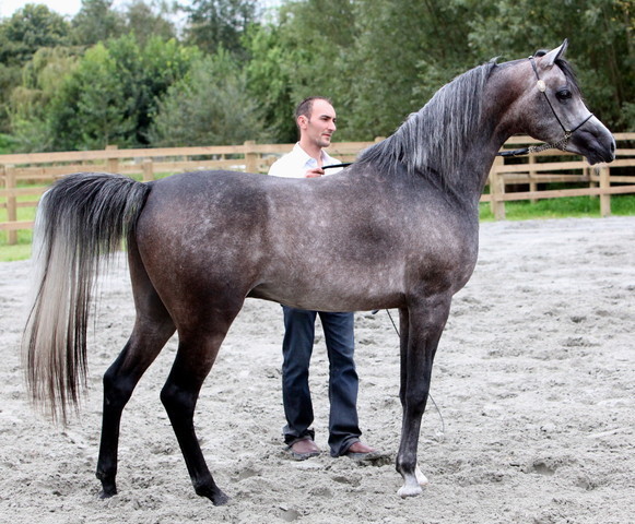 Schoukens Open House