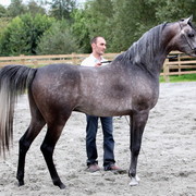 Schoukens Open House