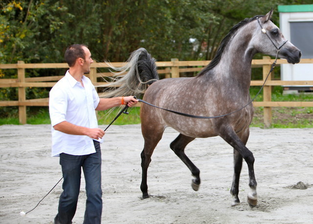 Schoukens Open House