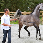 Schoukens Open House