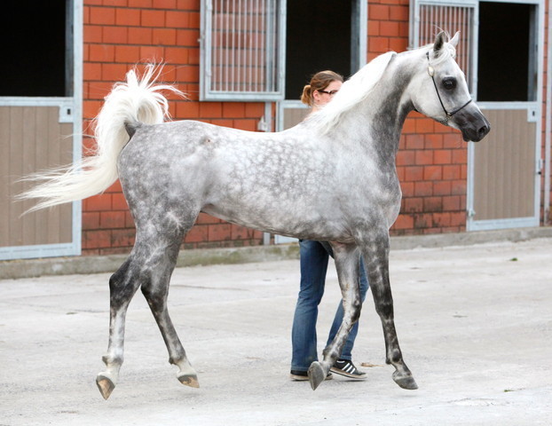 Schoukens Open House