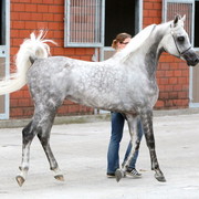 Schoukens Open House