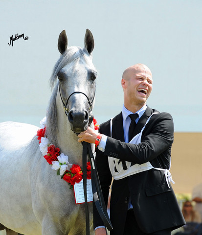 The 2011 Polish National Championships & Pride of Poland Sale