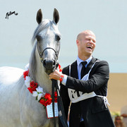 The 2011 Polish National Championships & Pride of Poland Sale
