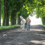 The 2011 Polish National Championships & Pride of Poland Sale