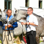 The 2011 Polish National Championships & Pride of Poland Sale