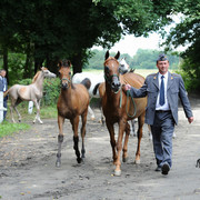 The 2011 Polish National Championships & Pride of Poland Sale