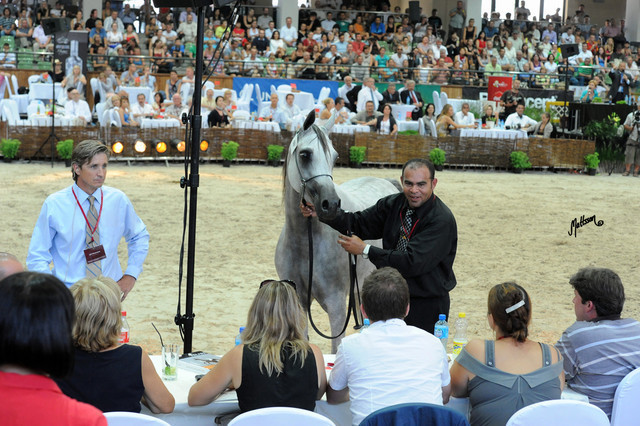 The 2011 Polish National Championships & Pride of Poland Sale