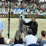 The 2011 Polish National Championships & Pride of Poland Sale