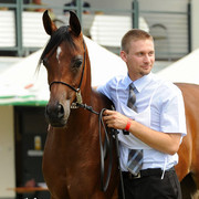 The 2011 Polish National Championships & Pride of Poland Sale