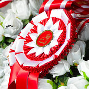 The 2011 Polish National Championships & Pride of Poland Sale