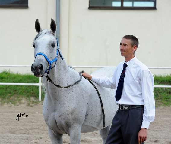 The 2011 Polish National Championships & Pride of Poland Sale