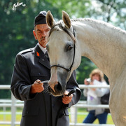 The 2011 Polish National Championships & Pride of Poland Sale
