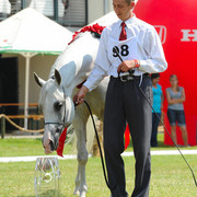 The 2011 Polish National Championships & Pride of Poland Sale