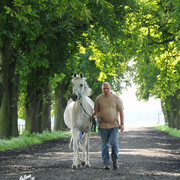 The 2011 Polish National Championships & Pride of Poland Sale