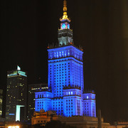 The 2011 Polish National Championships & Pride of Poland Sale