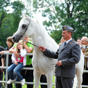 The 2011 Polish National Championships & Pride of Poland Sale
