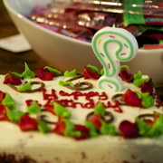 The 2011 Arabian Breeder Finals