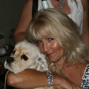 The 2011 Arabian Breeder Finals