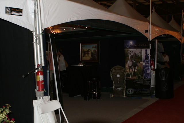 The 2011 Arabian Breeder Finals