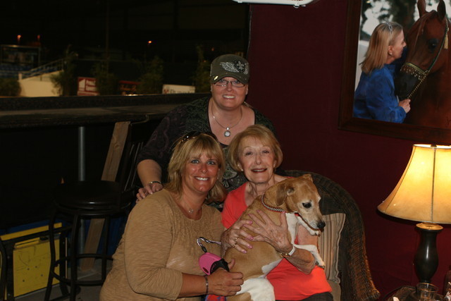 The 2011 Arabian Breeder Finals