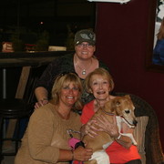 The 2011 Arabian Breeder Finals