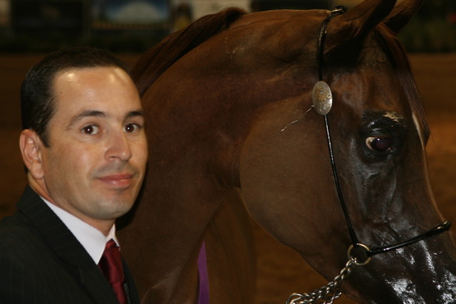 The 2011 Arabian Breeder Finals