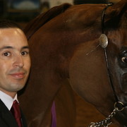 The 2011 Arabian Breeder Finals