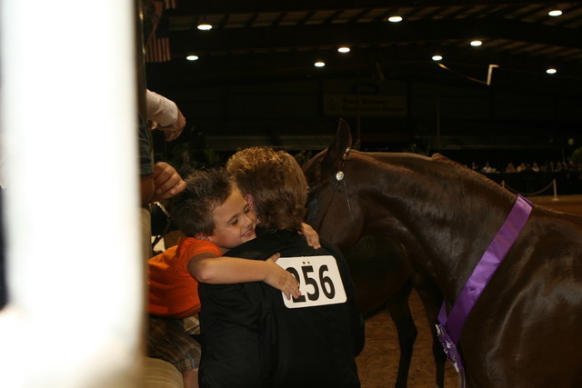 The 2011 Arabian Breeder Finals
