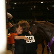The 2011 Arabian Breeder Finals