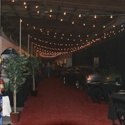 The 2011 Arabian Breeder Finals