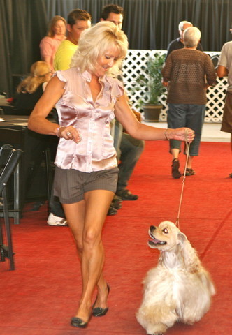 The 2011 Arabian Breeder Finals