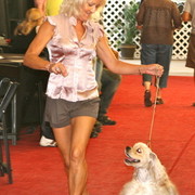 The 2011 Arabian Breeder Finals