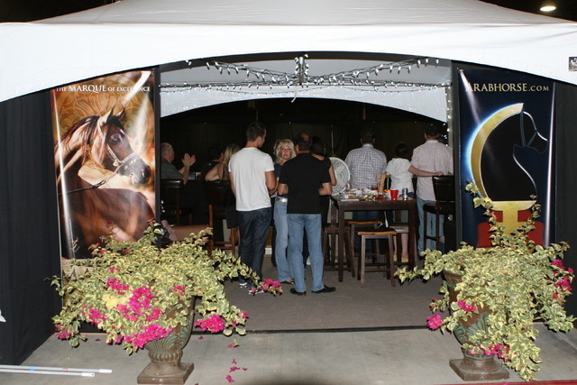 The 2011 Arabian Breeder Finals