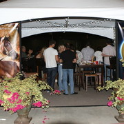 The 2011 Arabian Breeder Finals