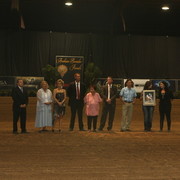 The 2011 Arabian Breeder Finals