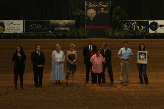 The 2011 Arabian Breeder Finals