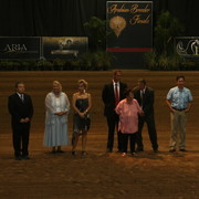 The 2011 Arabian Breeder Finals