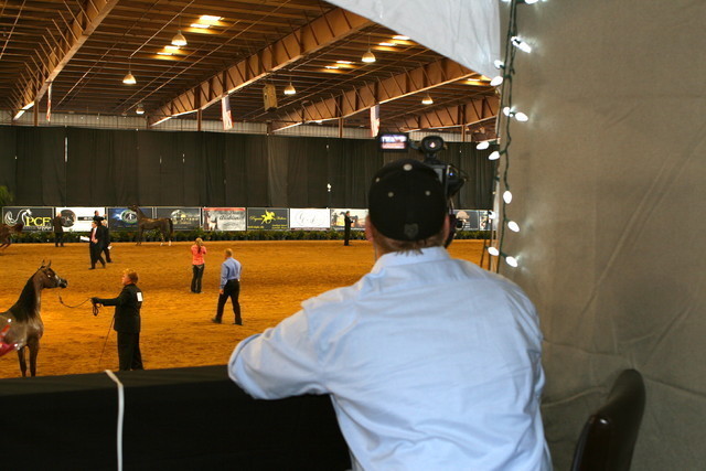 The 2011 Arabian Breeder Finals