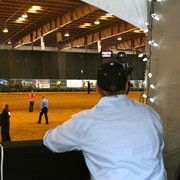 The 2011 Arabian Breeder Finals