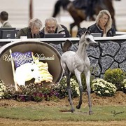 The 2011 US Nationals