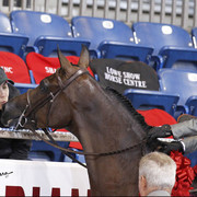 The 2011 US Nationals