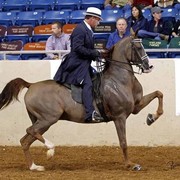 The 2011 US Nationals