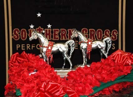 Southern Cross Arabians - Southern Cross Arabians is off to a great start at the show - Congratulations!!