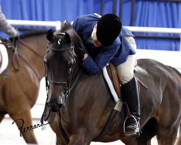 The 2011 US Nationals