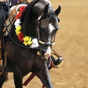 The 2011 US Nationals