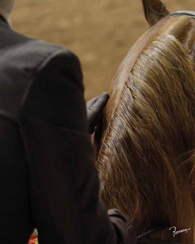 The 2011 US Nationals