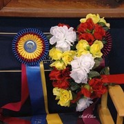 The 2011 US Nationals