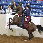 The 2011 US Nationals