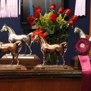 The 2011 US Nationals